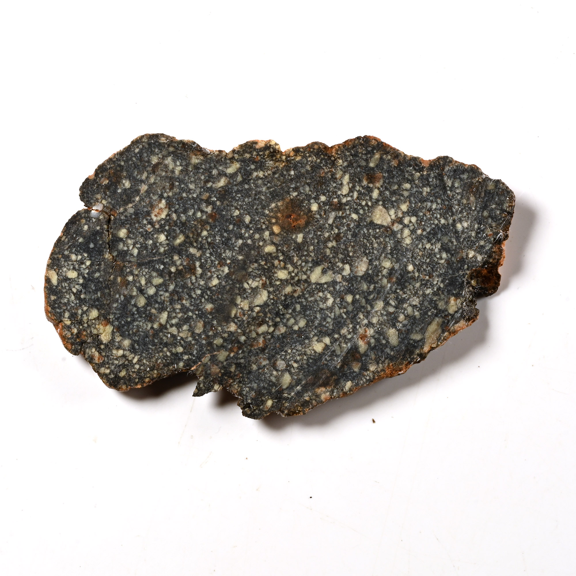 Natural History - Diogenite NWA 4664 Meteorite Slice